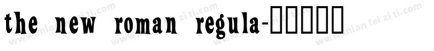 the new roman regula字体转换